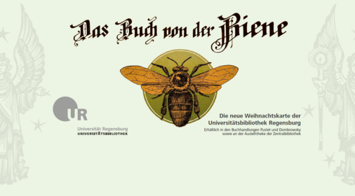 Das Buch von der Biene Zeichnung Biene