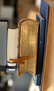 Bücher aus dem Bestand