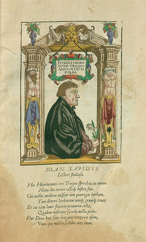 Hieronymus Bock. Titelblatt. In: Hieronymus Bock: Kreütterbuch.
