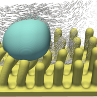 a fluid droplet (blue) deforms a viscoelastic microstructure (yellow) by elastocapillary