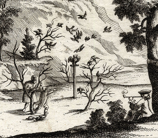 Ein Vogelschwarm wird durch eine Attrappe angelockt