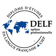 Logo Delf Pro