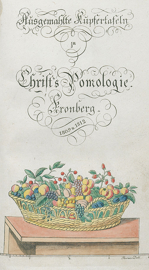 Johann Ludwig Christ: Vollständige Pomologie