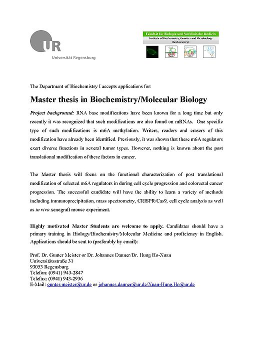 Meister-master Thesis In Biochemistry - 3