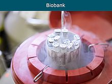 Weiterleitung zur Seite Biobank