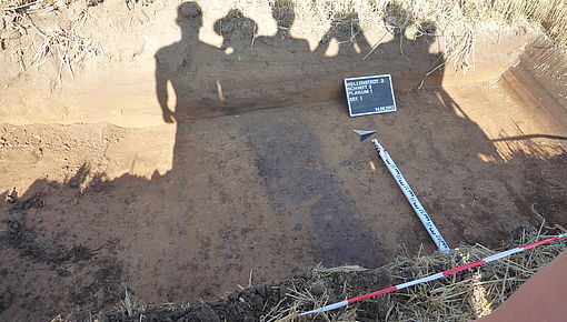 Hollenstedt Arbeitsfoto