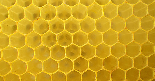 Bienenwabe