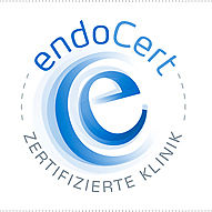 Endocert Logo
