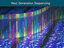 Weiterleitung zur Seite Next Generation Sequencing Core