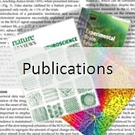 Small-publications