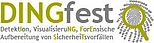 Logo Dingfest Klein