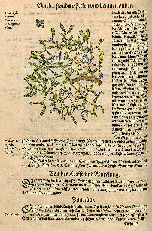 Hieronymus Bock: Kreütterbuch