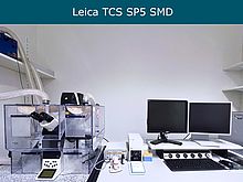 Weiterleitung zur Seite Leica TCS SP5 SMD