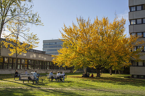 Picture: University Campus in Fall