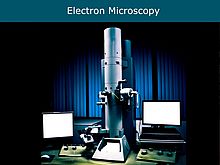 Weiterleitung zur Seite Elektronenmikroskopie
