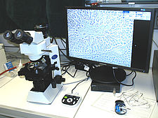 Foto eines Mikroskops für sehbehinderte Nutzer 