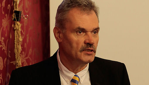 Prof. Dr. Hermann Scheuringer, Leiter des FZ DiMOS
