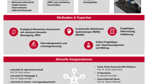Poster des Lehrstuhls Prof. Kolar