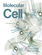 2008 Mol-cell Cover 02