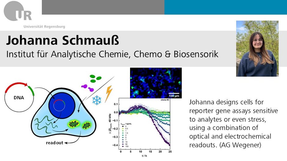 Projektbeschreibung von Johanna Schmauß