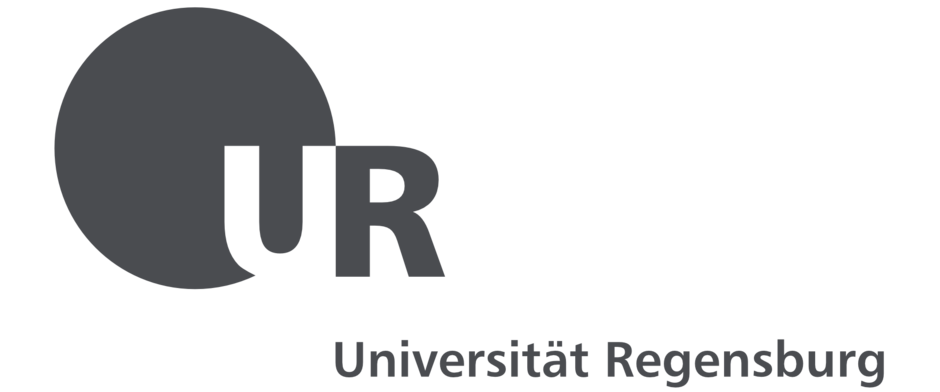 (external link, opens in a new window)