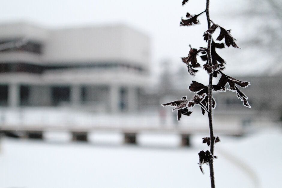Ein mit Raureif belegter dunkelbrauner Ast. Im Hintergrund sind undeutlich eine Brücke und ein Betonbau mit Flachdach in einer winterweißen Umgebung zu erahnen.