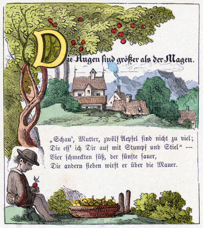 (öffnet Vergrößerung des Bildes)