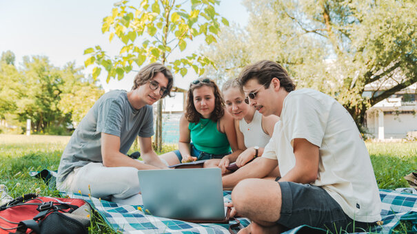 Vier Studierende sitzen auf einer Picknickdecke auf einer Wiese am Campus der Universität Regensburg und schauen gemeinsam in einen Laptop.