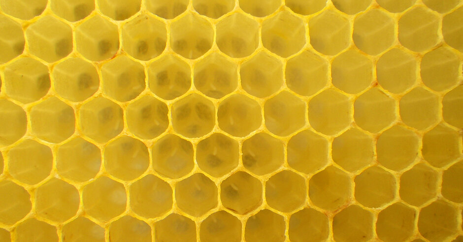 Bienenwabe (öffnet Vergrößerung des Bildes)