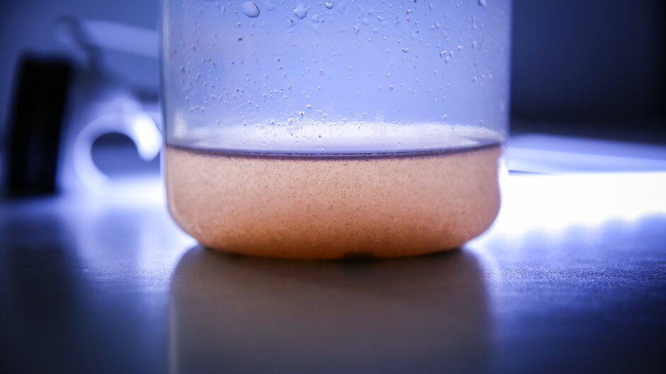 Seitenansicht eines Becherglases mit Artemien in Wasser