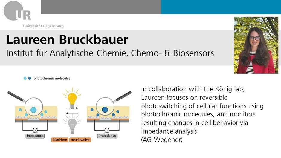Projektbeschreibung von Laureen Bruckbauer