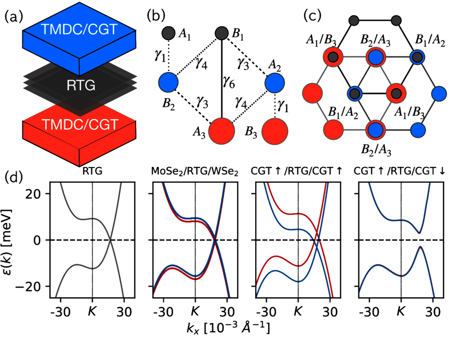 Trilayer graphene sandwiched between TMDCs and calculated bandstructures showing correlated phases. (opens enlarged image)