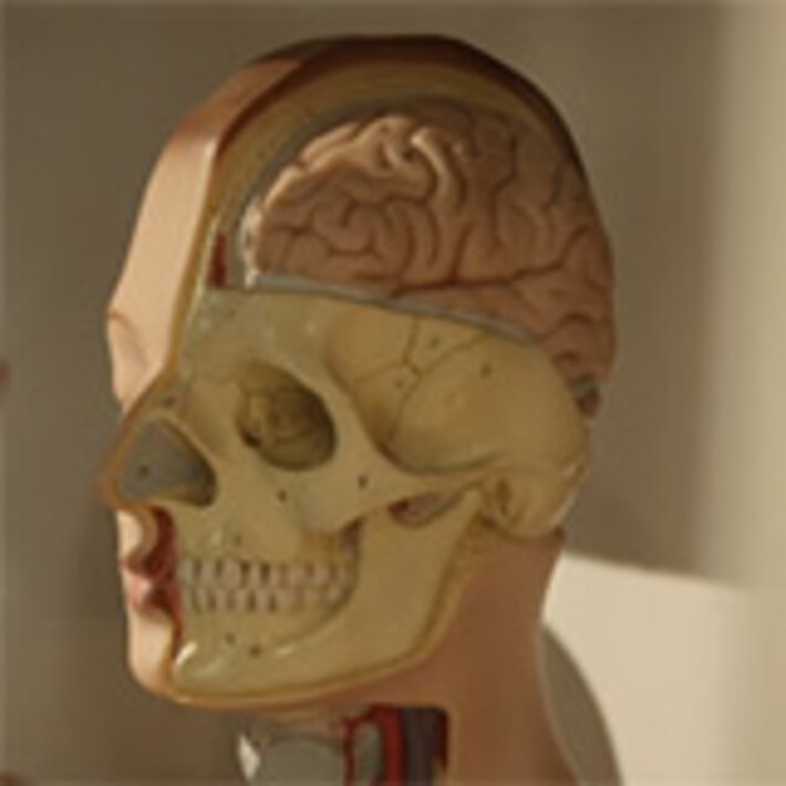 (öffnet Vergrößerung des Bildes)