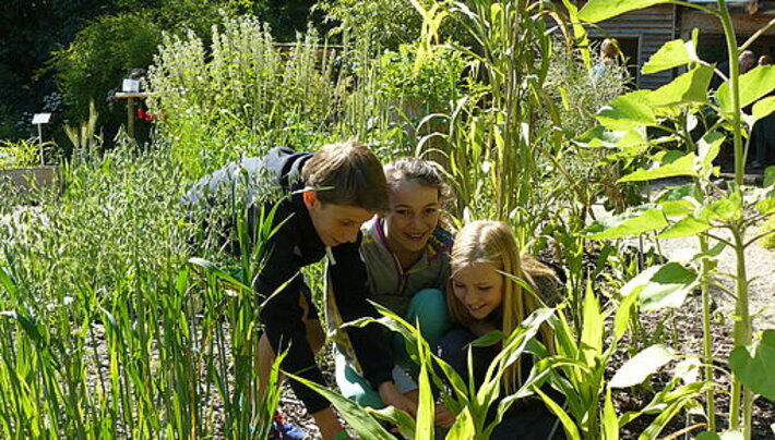 (öffnet Vergrößerung des Bildes)
