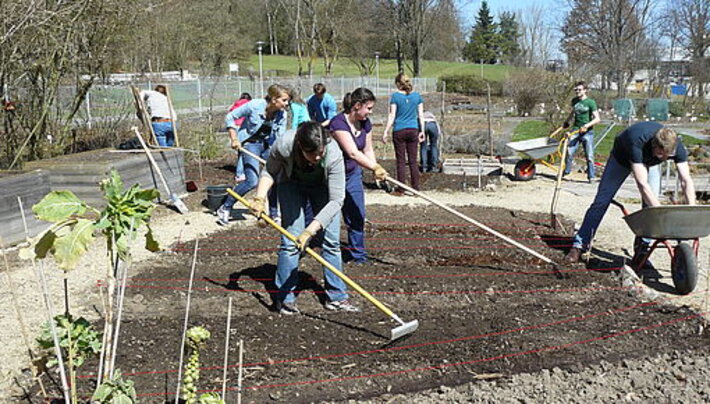 (öffnet Vergrößerung des Bildes)