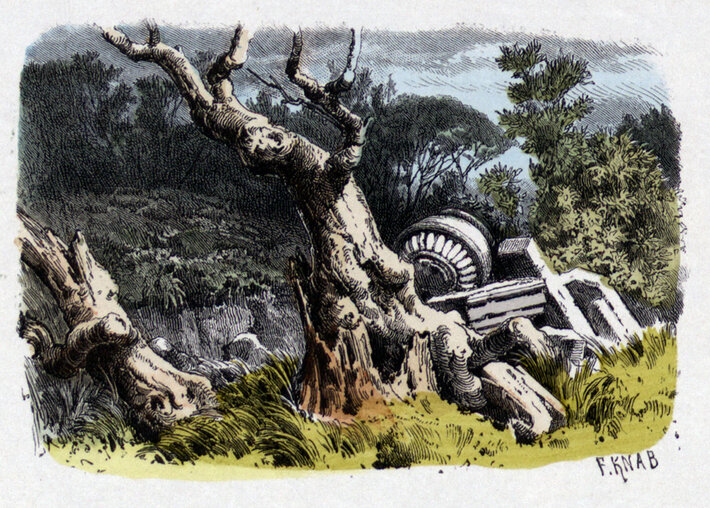 Ferdinand Knab: Ein verödeter Park (öffnet Vergrößerung des Bildes)