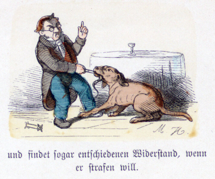 (öffnet Vergrößerung des Bildes)