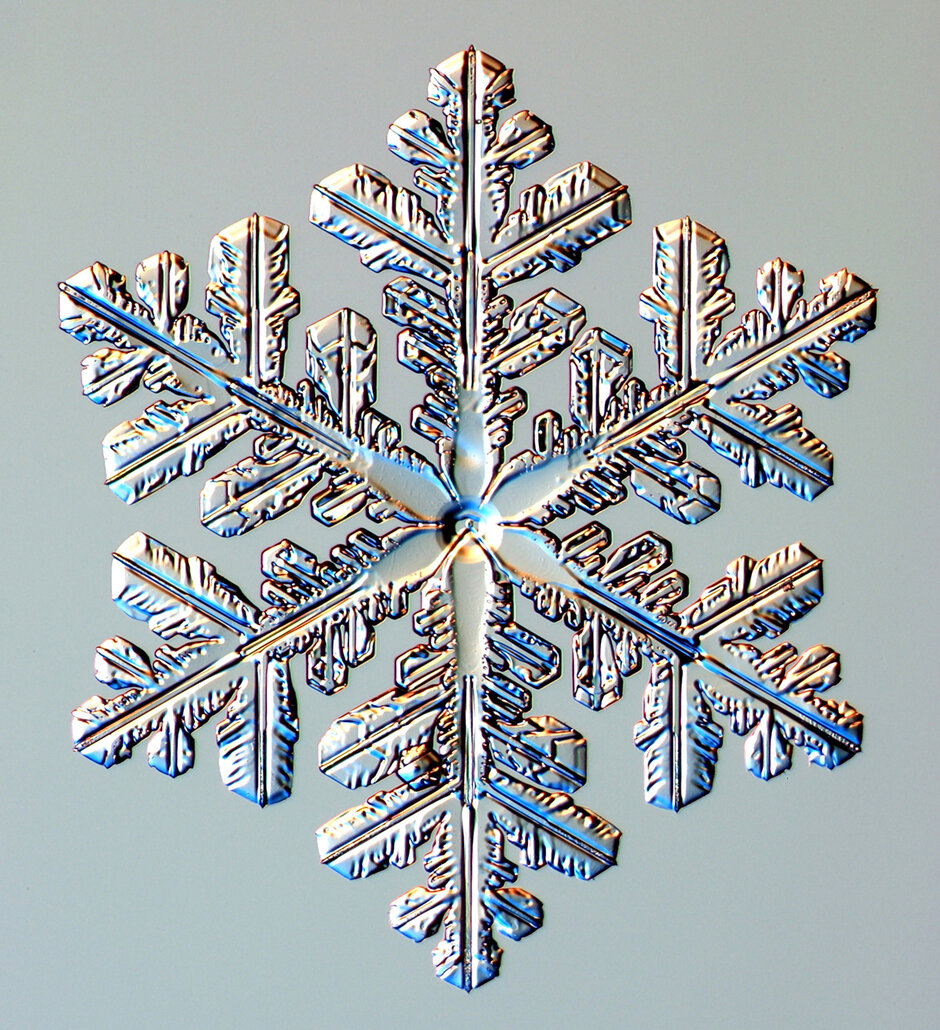 Sternförmiger Eiskristall mit Dendriten (Aufnahme: Kenneth Libbrecht) (öffnet Vergrößerung des Bildes)