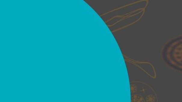 Cover der Dissertation Universal HOM-type S-matrix correlations