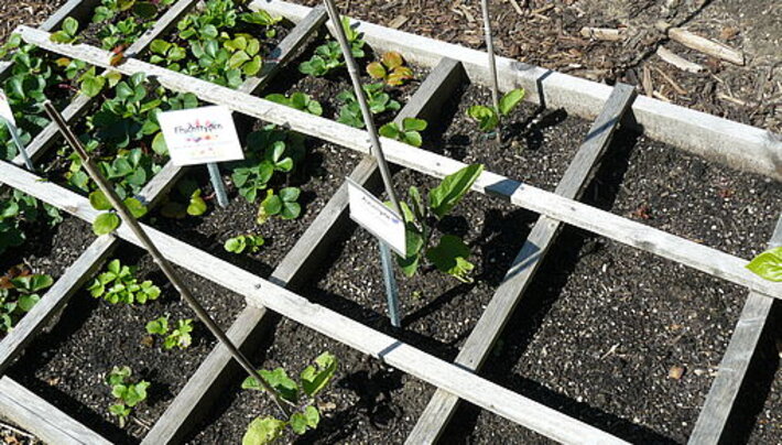 (öffnet Vergrößerung des Bildes)