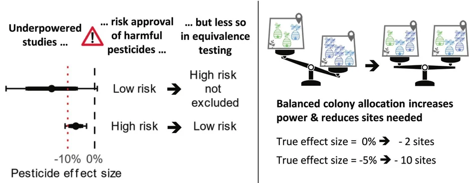 Graphical abstract of the study on equivalence testing in pesticide risk assessment for honeybees (öffnet Vergrößerung des Bildes)