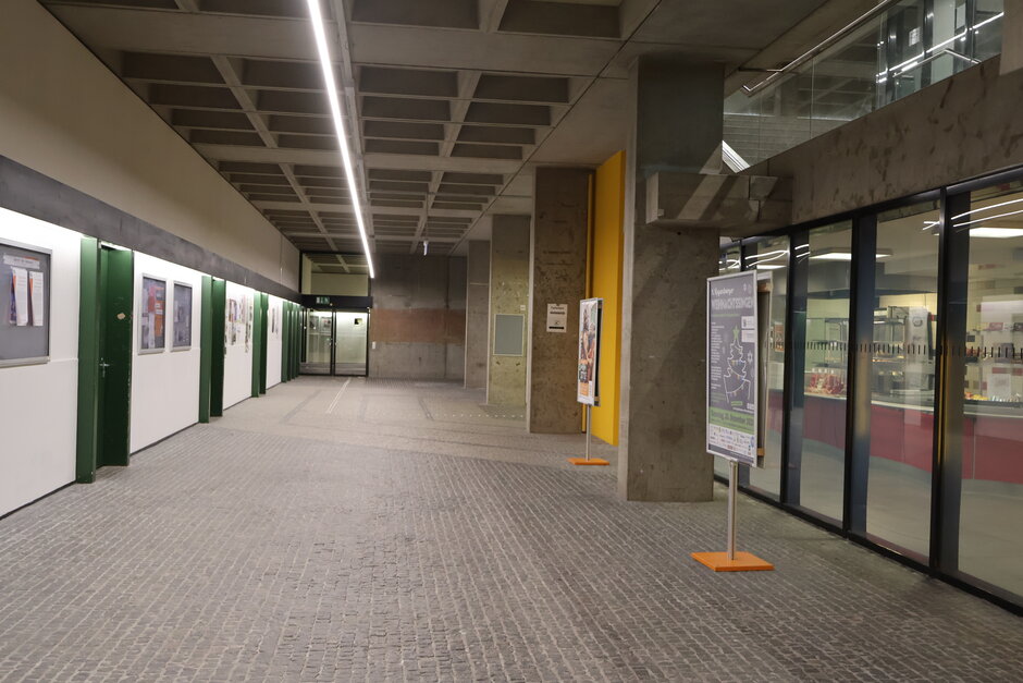 (opens enlarged image)