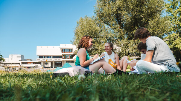 Eine Gruppe Studierender sitzt an einem Sommernachmittag zusammen auf einer grünen Wiese am Campus. 