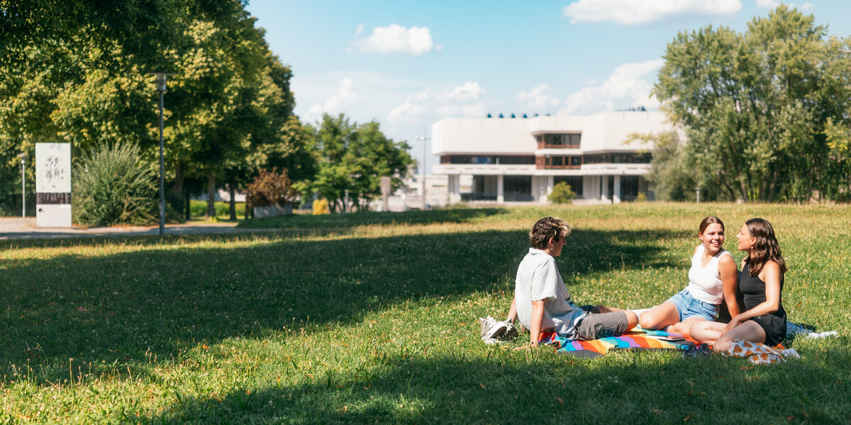 Eine Gruppe Studierender im Sommer auf einer Picknickdecke am Campus. Im Hintergrund ist die Zentralbibliothek zu sehen.