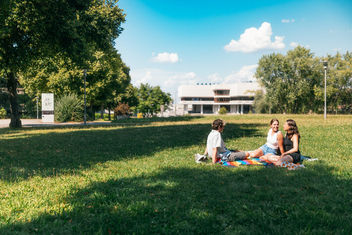 Eine Gruppe Studierender im Sommer auf einer Picknickdecke am Campus. Im Hintergrund ist die Zentralbibliothek zu sehen. (opens enlarged image)