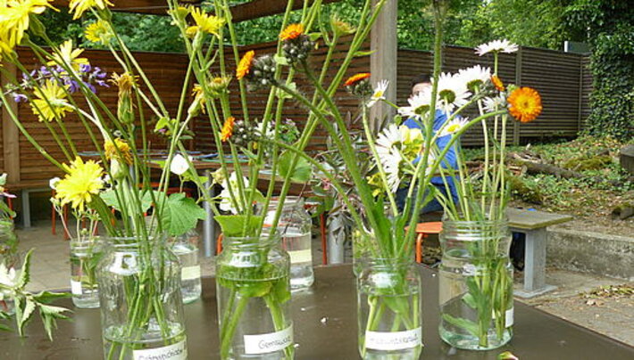 (öffnet Vergrößerung des Bildes)