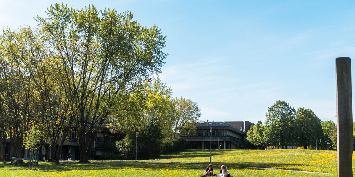Campuswiese der Uni Regensburg mit Löwenzahn. Auf der Wiese sitzen Studierende. 