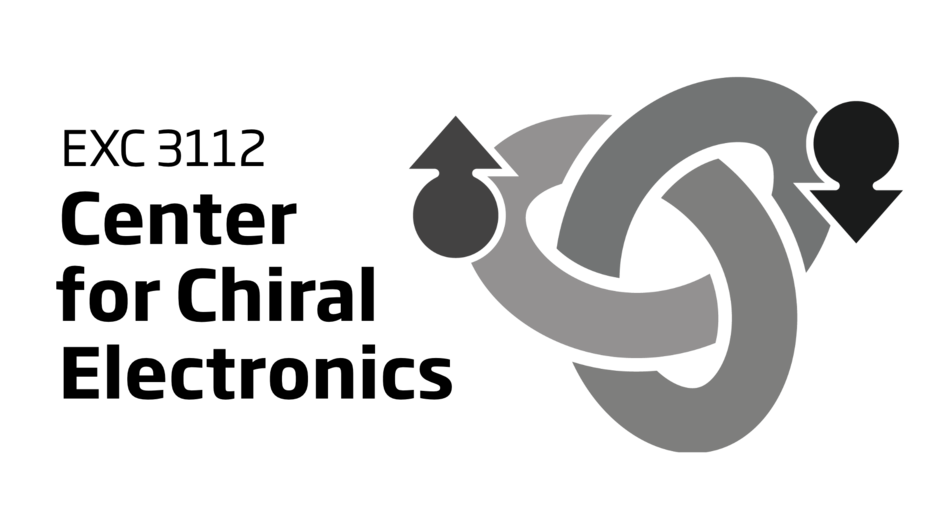 (external link, opens in a new window)