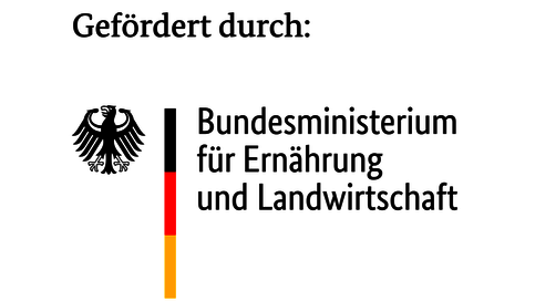 (öffnet Vergrößerung des Bildes)