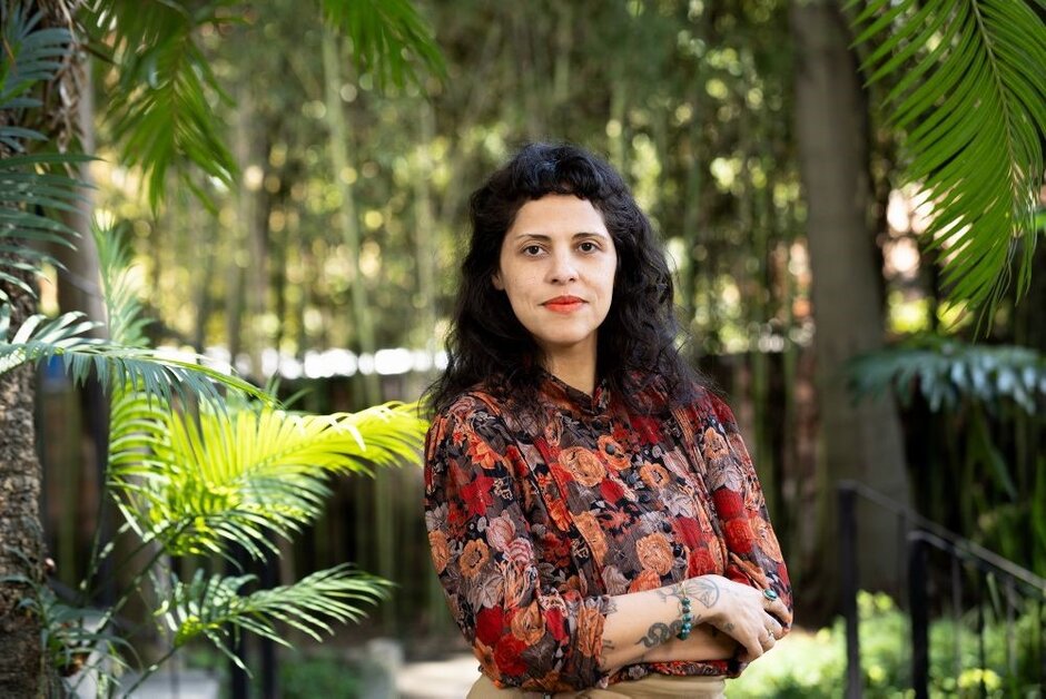 (opens enlarged image)